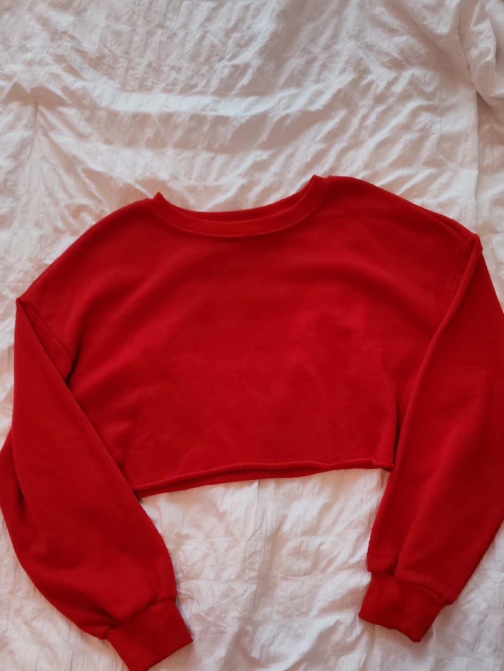 Red Cropped Crewneck Sweatshirt